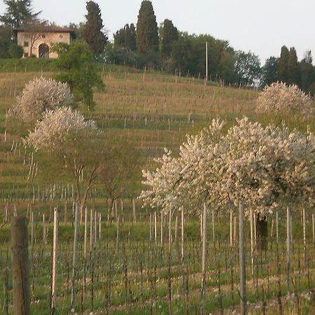 הוילה Manzano Agriturismo Giorgio Colutta מראה חיצוני תמונה