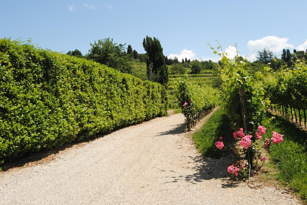 הוילה Manzano Agriturismo Giorgio Colutta מראה חיצוני תמונה